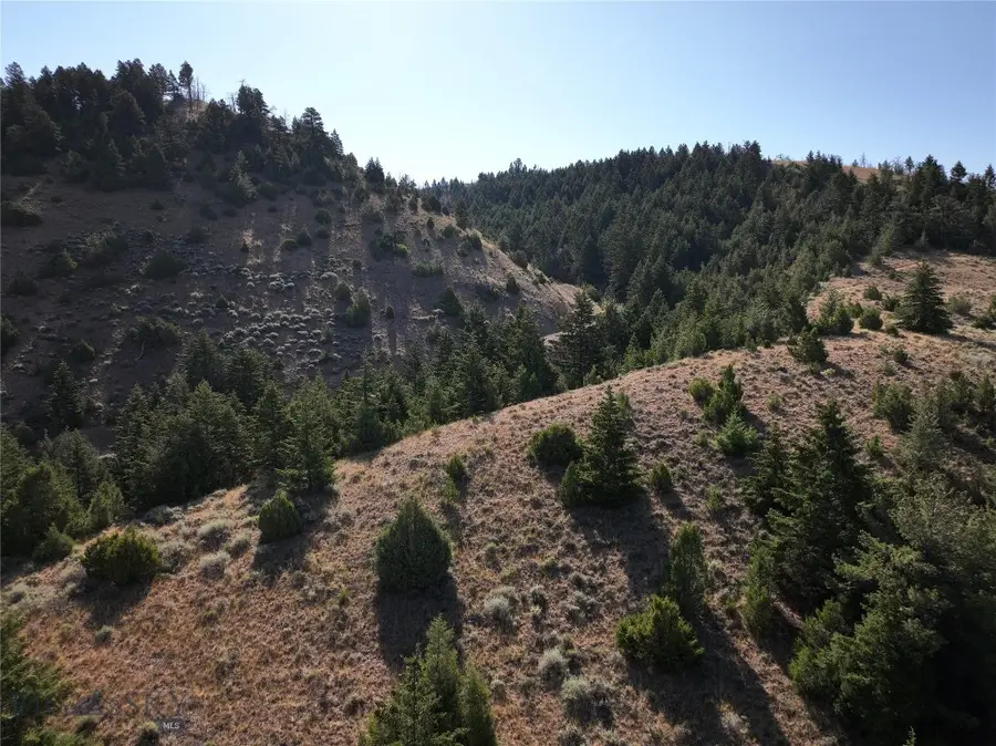 TBD Lone Wolf Trail, Ponderosa Pines, MT 59752 - Image #3