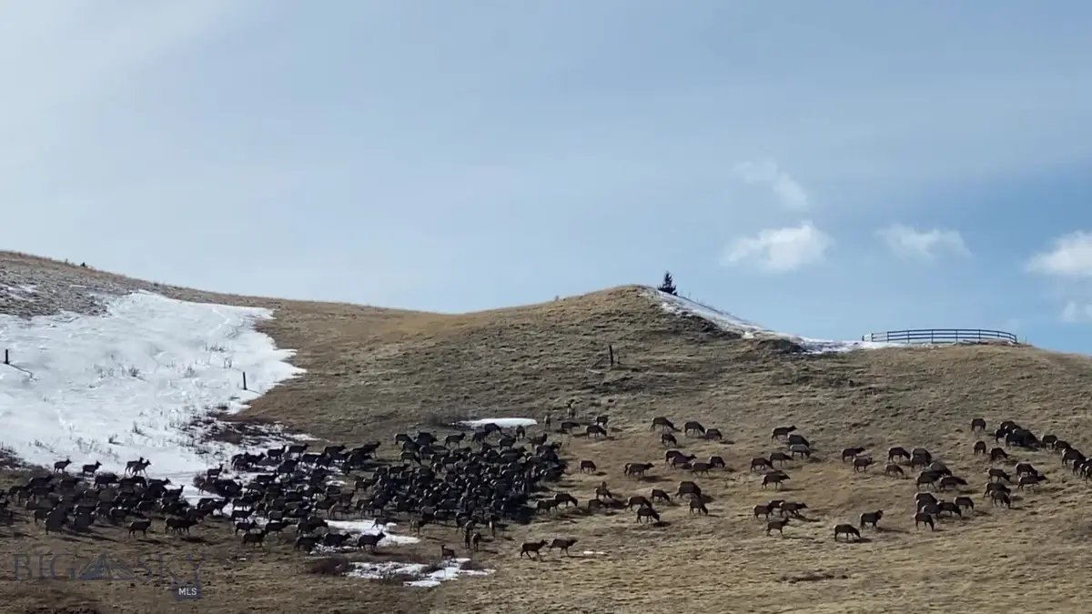 86 Pony Lane, Livingston, MT 59047 - Image #1