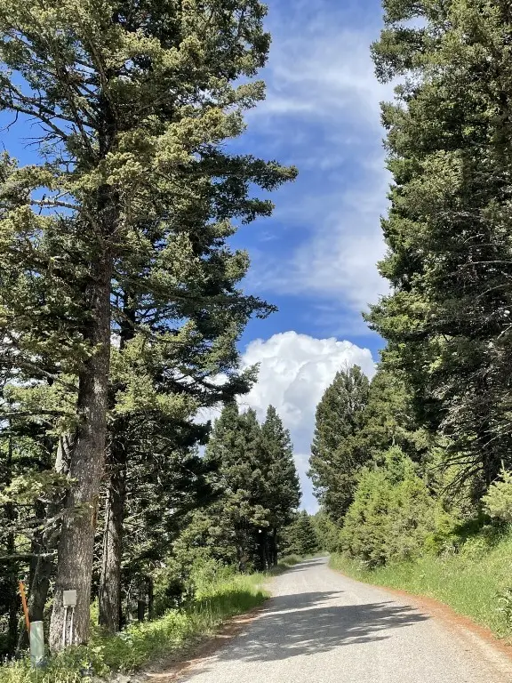 18 Blue Camas Road, Bozeman, MT 59715 - #2