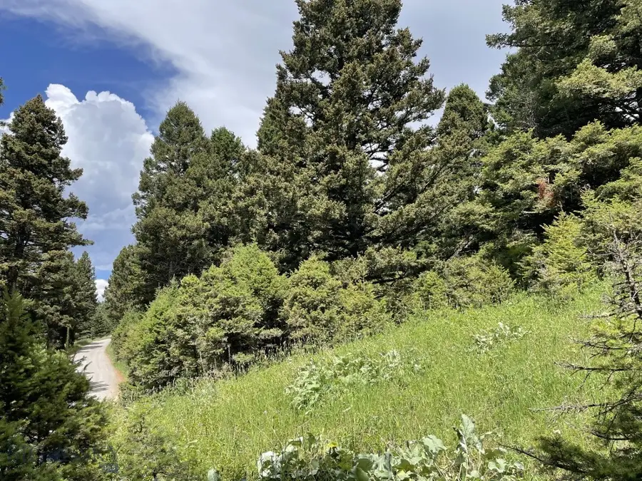 18 Blue Camas Road, Bozeman, MT 59715 - #3