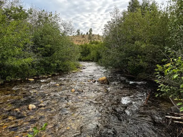 NHN Lot 43 Mill Creek Highway, Anaconda, MT 59711