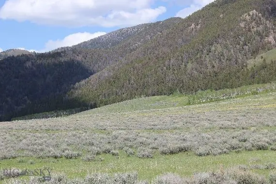 Parcel A54 Sportsman's Paradise, Cameron, MT 59720 - Image #2