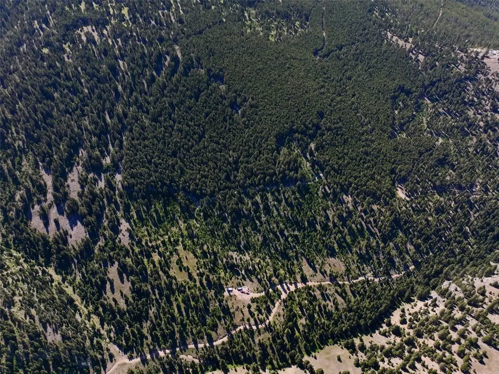 TBD B Chimney Lakes Road, Helmville, MT 59843 - #1