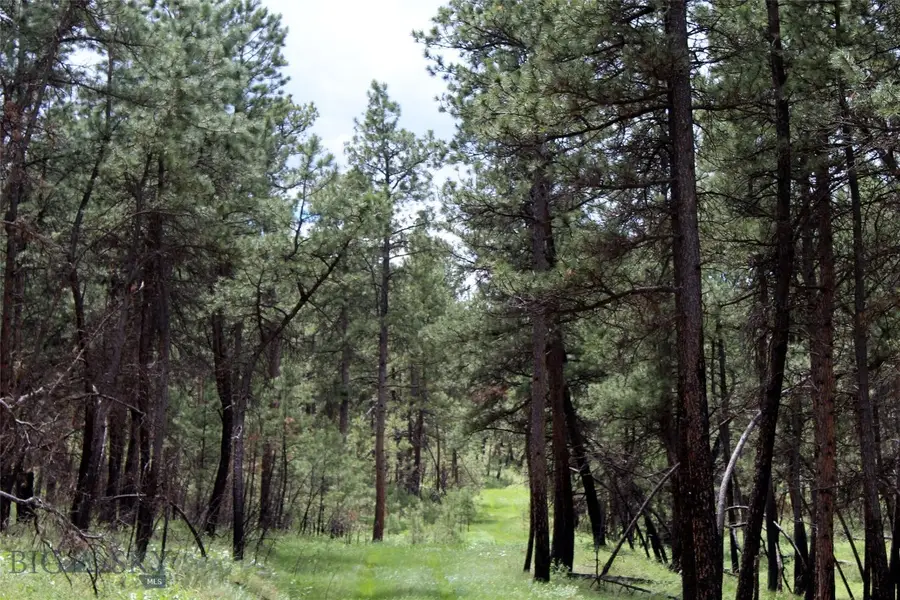 50 Lazy R Way #EH-1&13, Roundup, MT 59072 - Image #3