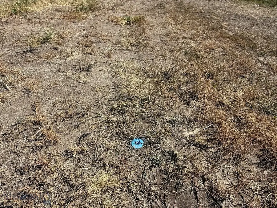 1003 Oregon Street, Deer Lodge, MT 59722 - #3