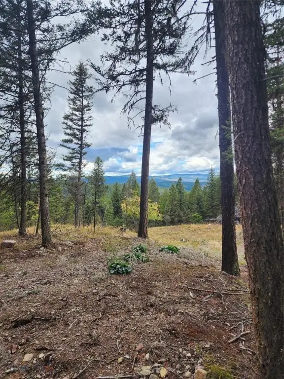 408 Montana View Drive, Seeley Lake, MT 59868