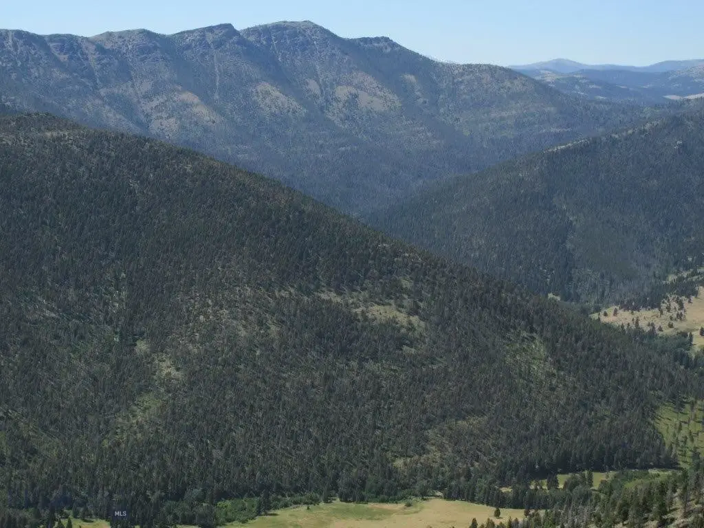TBD Bear Track Road, Wolf Creek, MT 59648 - #1