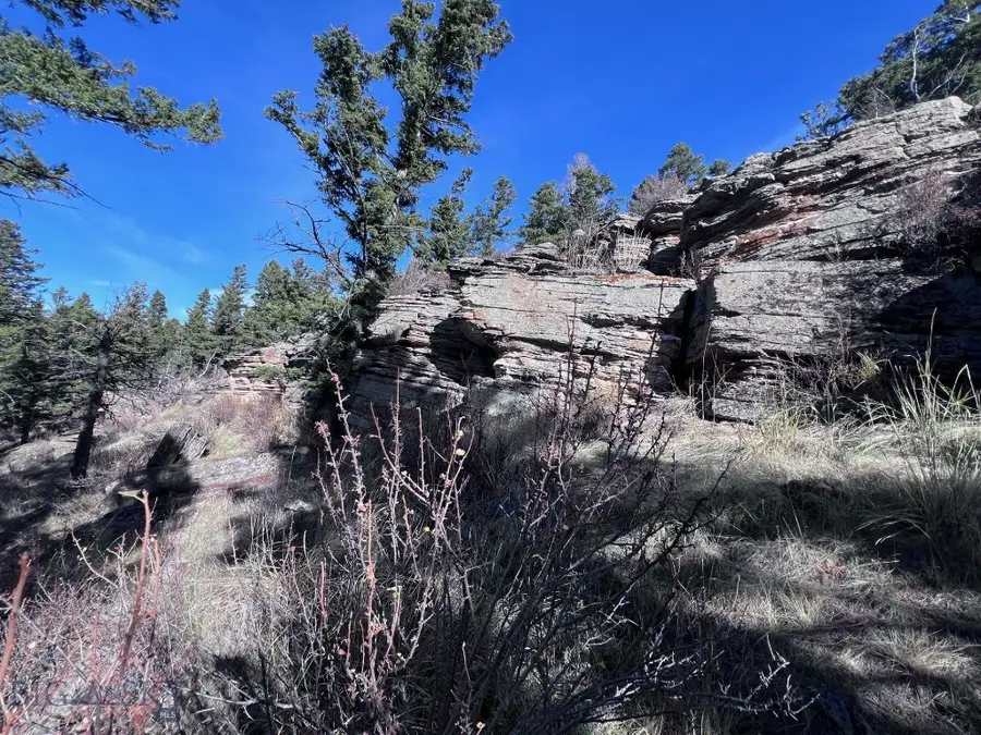 89 Mayn Creek Rd, White Sulphur Springs, MT 59645 - Image #3