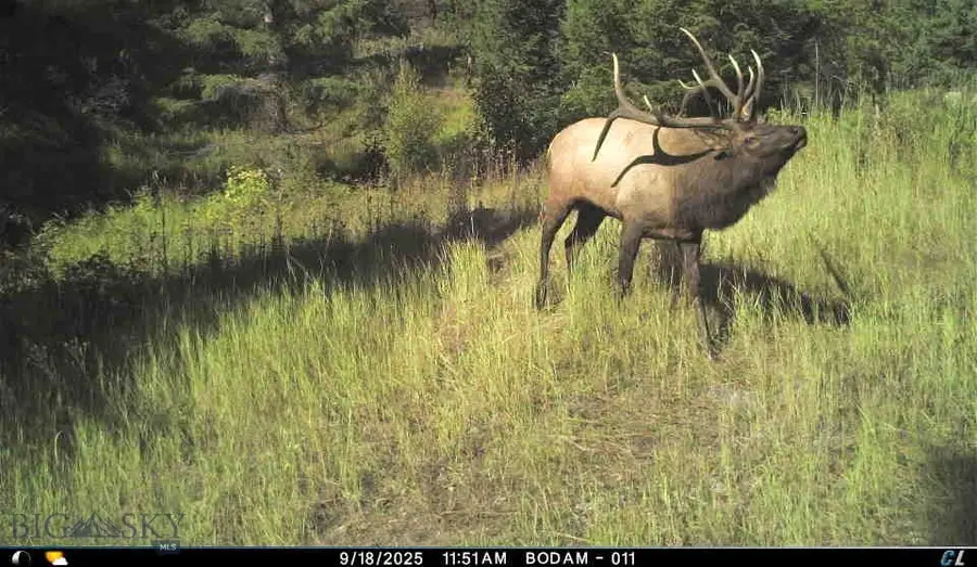 Lot 1 Ruby Mine Road, Butte, MT 59701 - Image #2