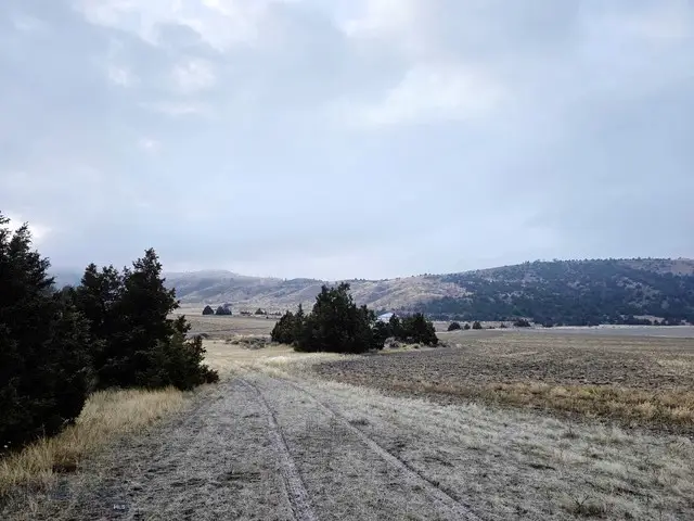 NHN Pole Gulch Road, Ponderosa Pines, MT 59752 - Image #2