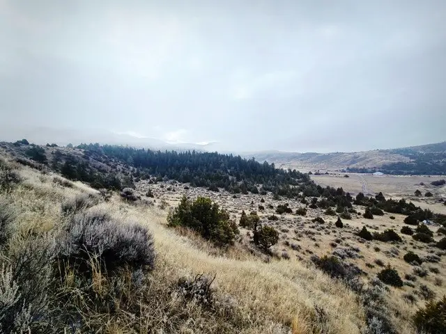 NHN Pole Gulch Road, Ponderosa Pines, MT 59752 - Image #3