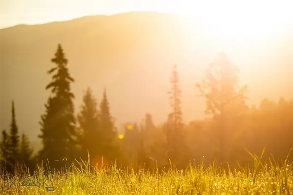 Lot 7 Trout Pond Lane, Big Sky, MT 59716