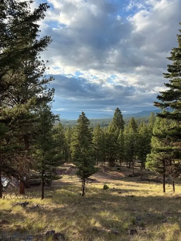 451 Crimson Peak Ct, Seeley Lake, MT 59868 - Image #1