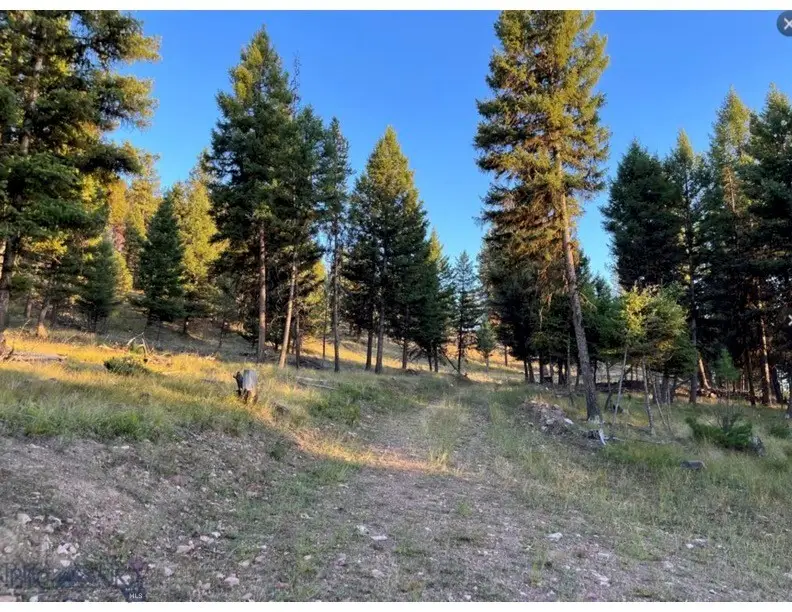 451 Crimson Peak Ct, Seeley Lake, MT 59868 - Image #2