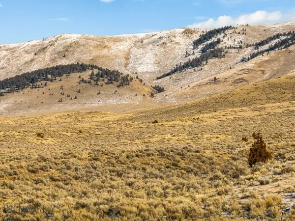 TBD Highland Ironrod Road, Twin Bridges, MT 59754