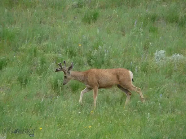 115 Red And King Gulch Road, Laurel, MT 59044