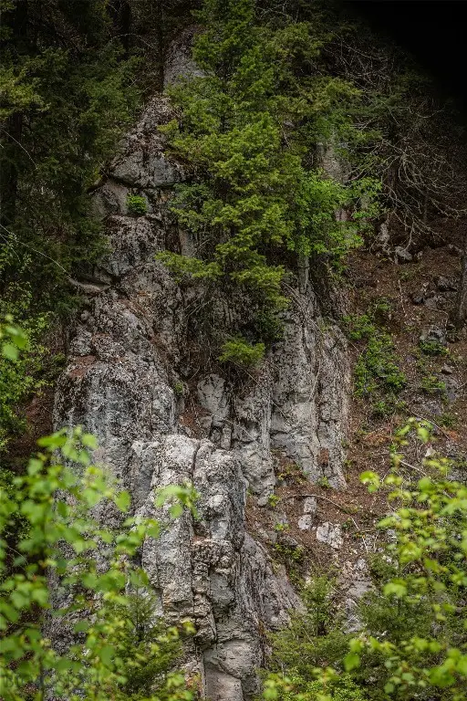 4,5,6,7 Garnet Range, Drummond, MT 59832 - Image #1