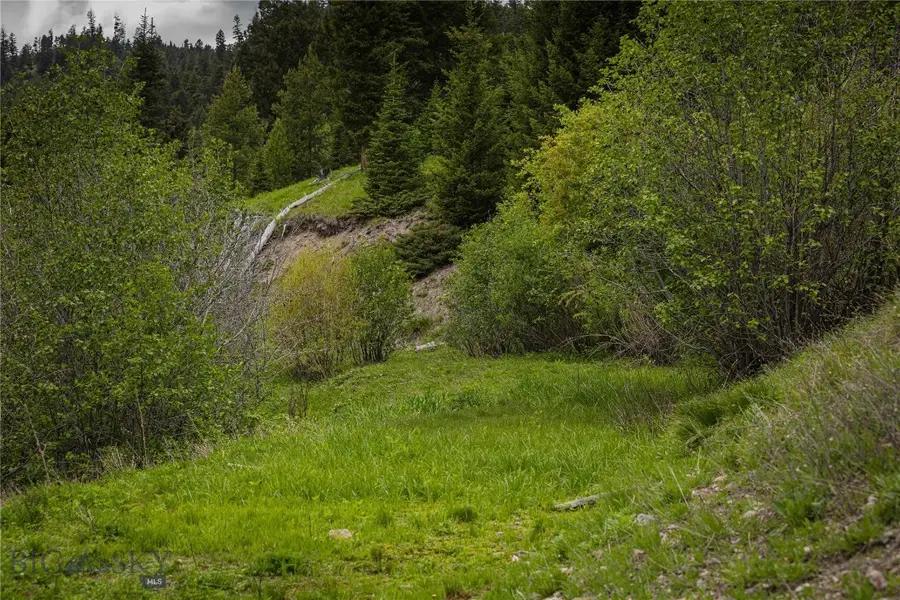 4,5,6,7 Garnet Range, Drummond, MT 59832 - Image #2