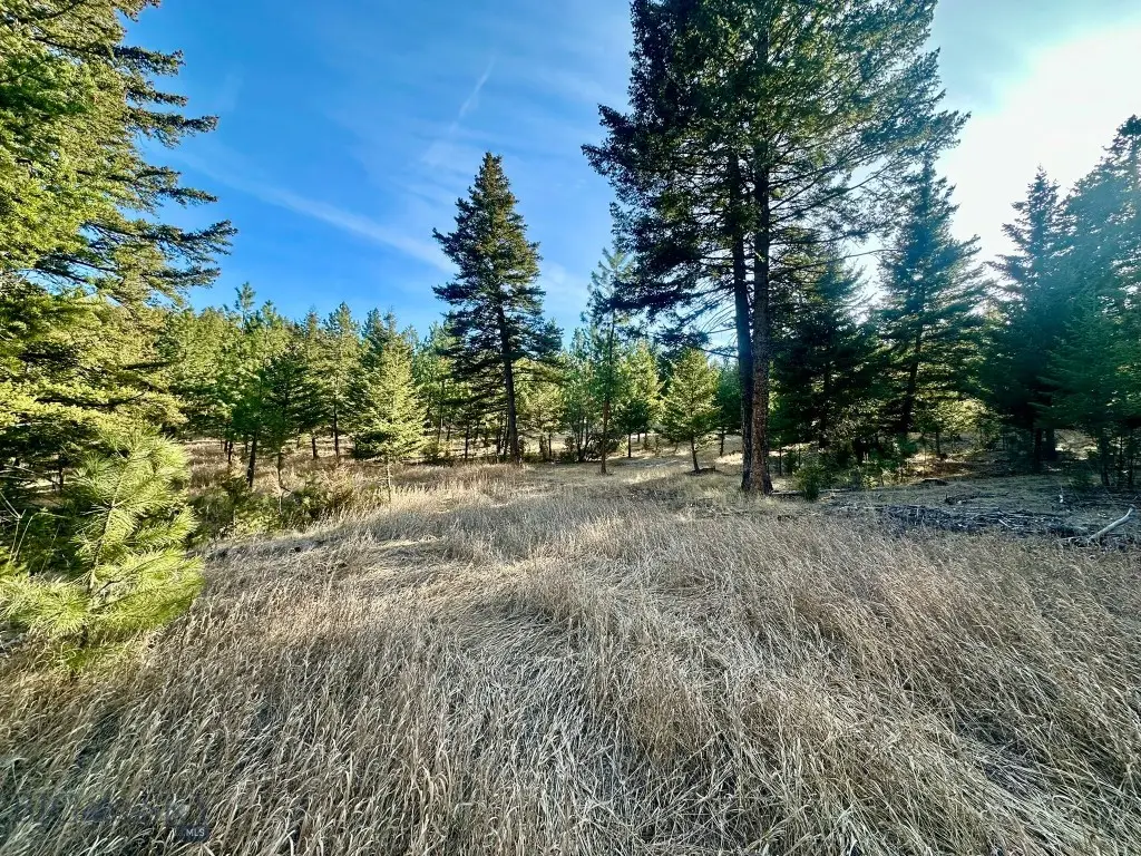 TBD Martinez Gulch Road, Clancy, MT 59634 - #1