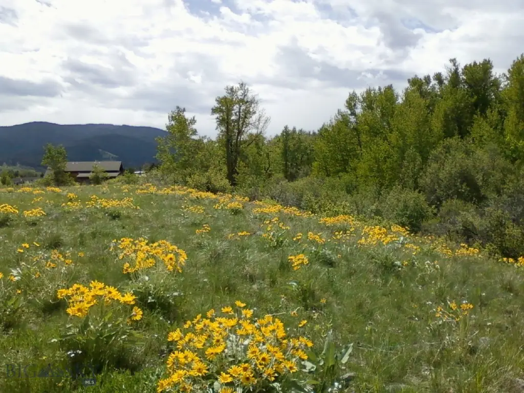 779 Cayuse Trail, Bozeman, MT 59715 - Image #1