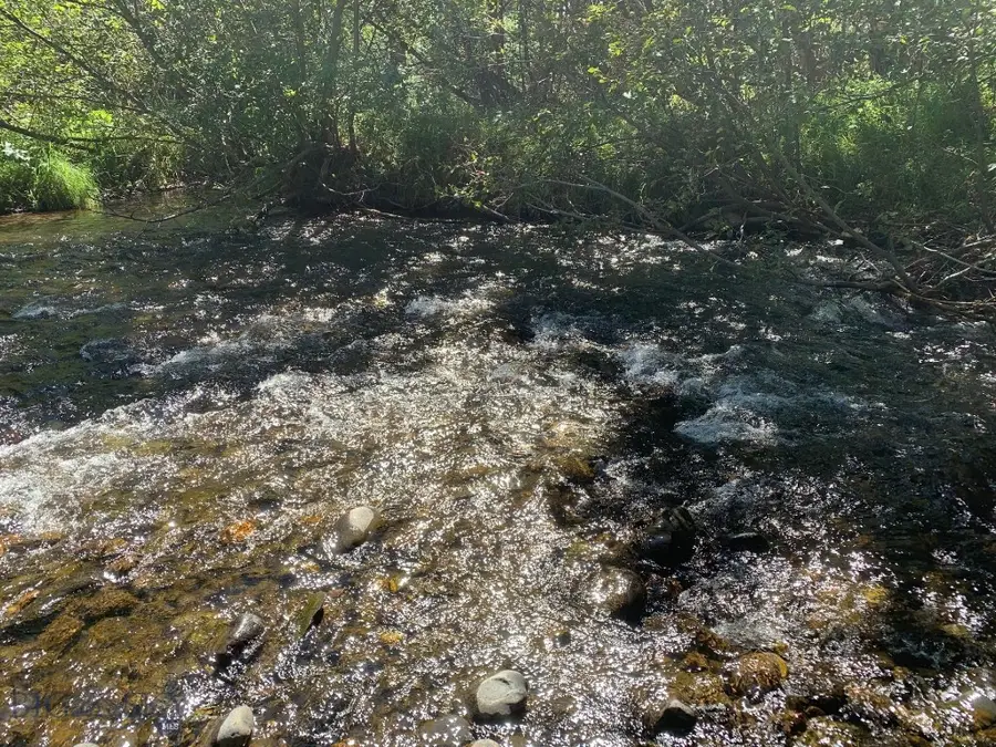 779 Cayuse Trail, Bozeman, MT 59715 - Image #2