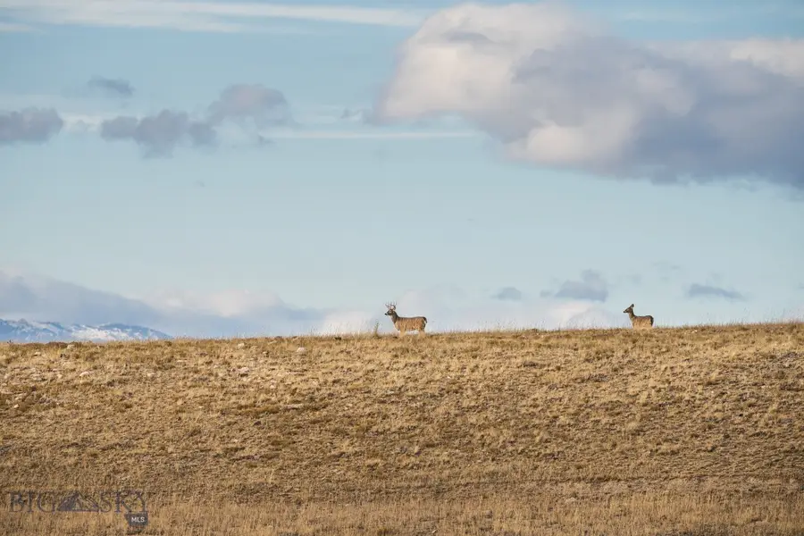 TBD Buster Brown Road, Dillon, MT 59725 - #2
