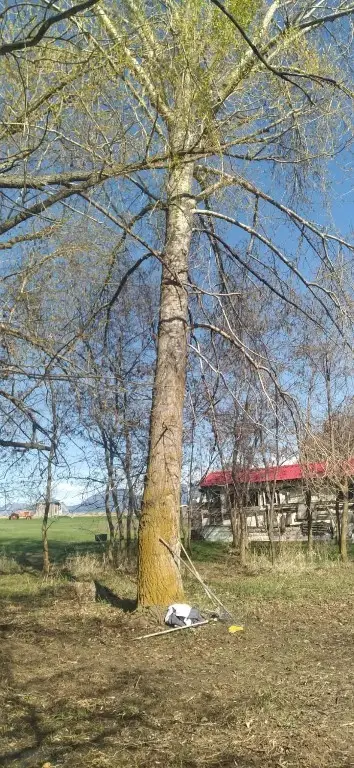 33443 Fox Lane, Polson, MT 59860 - #2