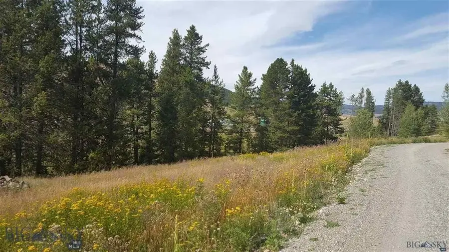Tract 11 Mountain Moose Road, Bozeman, MT 59715 - #3