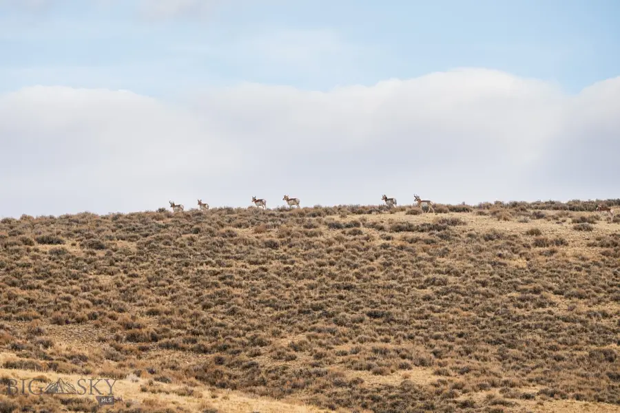 TBD Buster Brown Road, Dillon, MT 59725 - #3