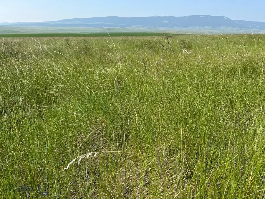 TBD Ubet Road, Buffalo, MT 59418 - #3