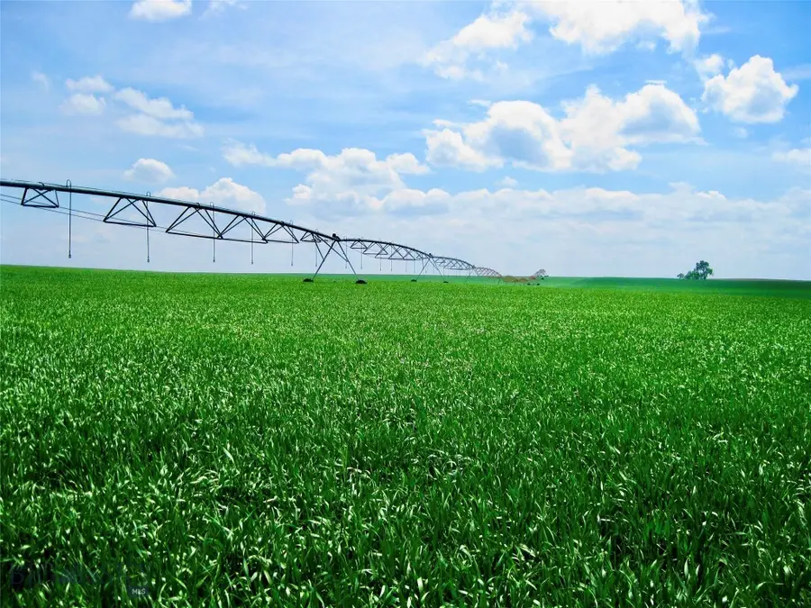 TBD Buena Vista Road, Valier, MT 59486 - #3