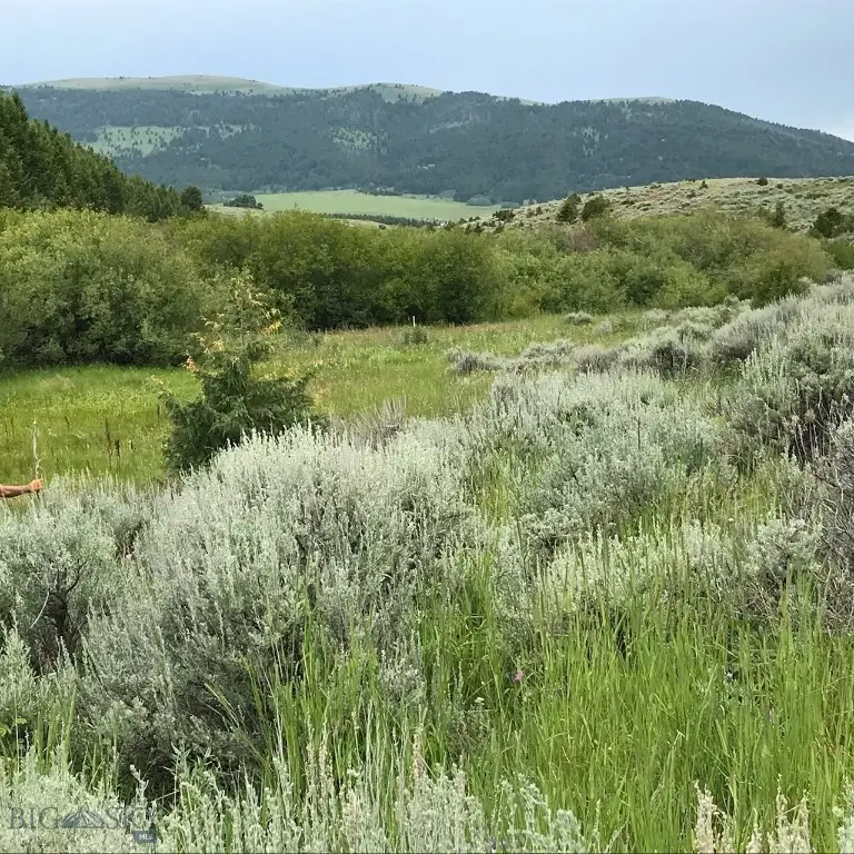 40 Mike Day Drive, White Sulphur Springs, MT 59645 - #3