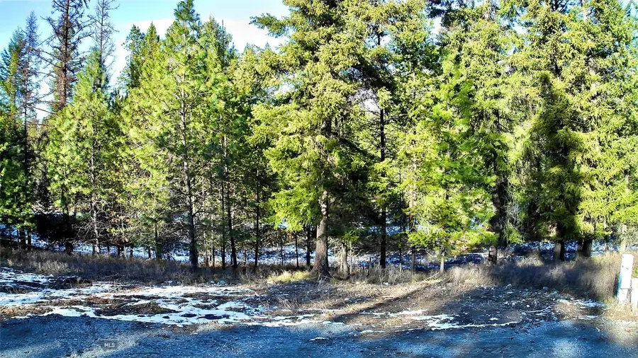 2517 Mossy Rock Court, Thompson Falls, MT 59873 - #3