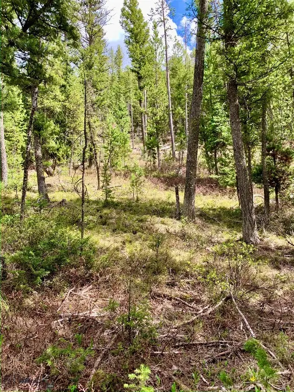 4256 Mountain View Drive, Island Park, ID 83429 - #3