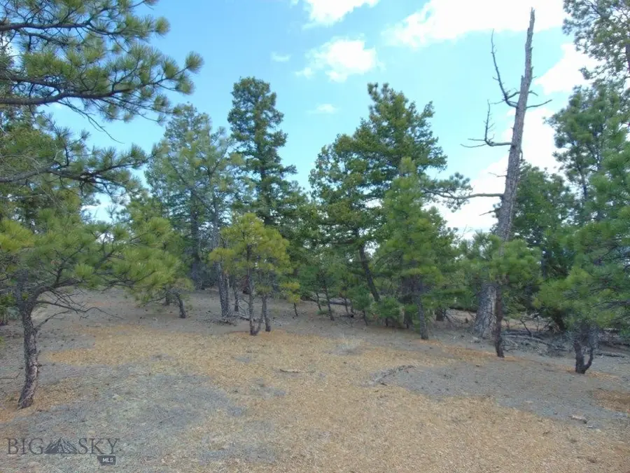 3575 Sweetwater Rd Road, Helena, MT 59602 - #2