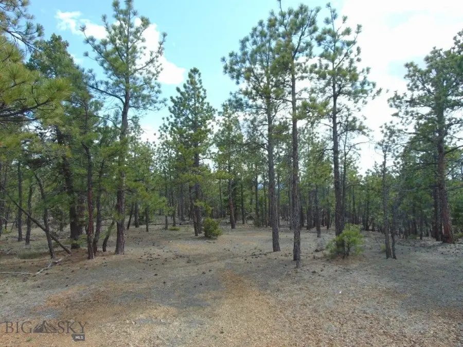 3575 Sweetwater Rd Road, Helena, MT 59602 - #3