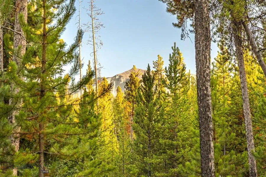 TBD Lot #10 Herring Flats Road, Anaconda Deer Lodge County, MT 59701 - #2