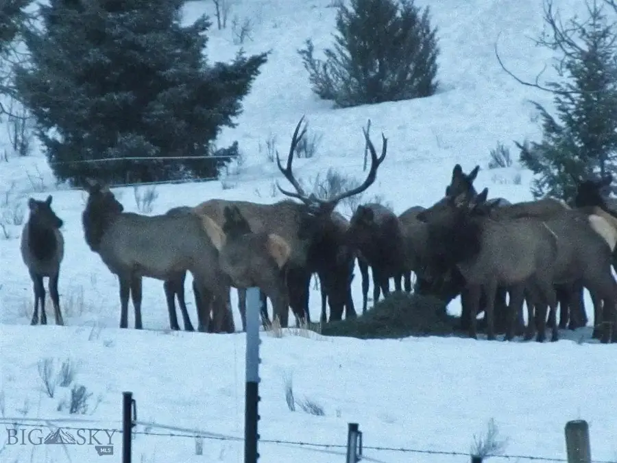 900 Flint Creek Road, Butte Silver Bow Northwest, MT 59748 - #3