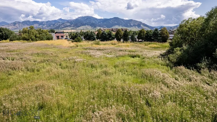 2050 Baxter Lane, Bozeman, MT 59718 - #3