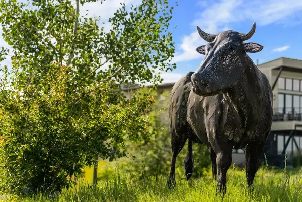 TBD Tillyfour, Bozeman, MT 59718