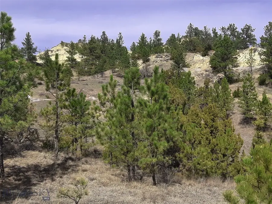 3808 Moon Creek Road, Miles City, MT 59301 - #2