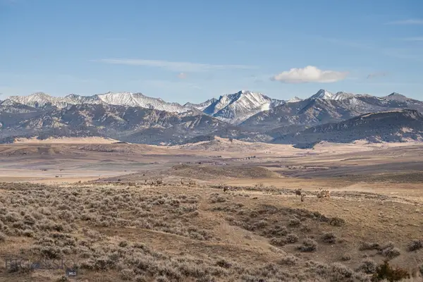 60 Shy Rd, Wilsall, MT 59086