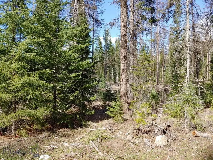 Address Withheld By Seller, Condon, MT 59826 - #3