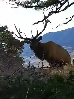 72 Sky Band Trail, Livingston, MT 59047 - #2