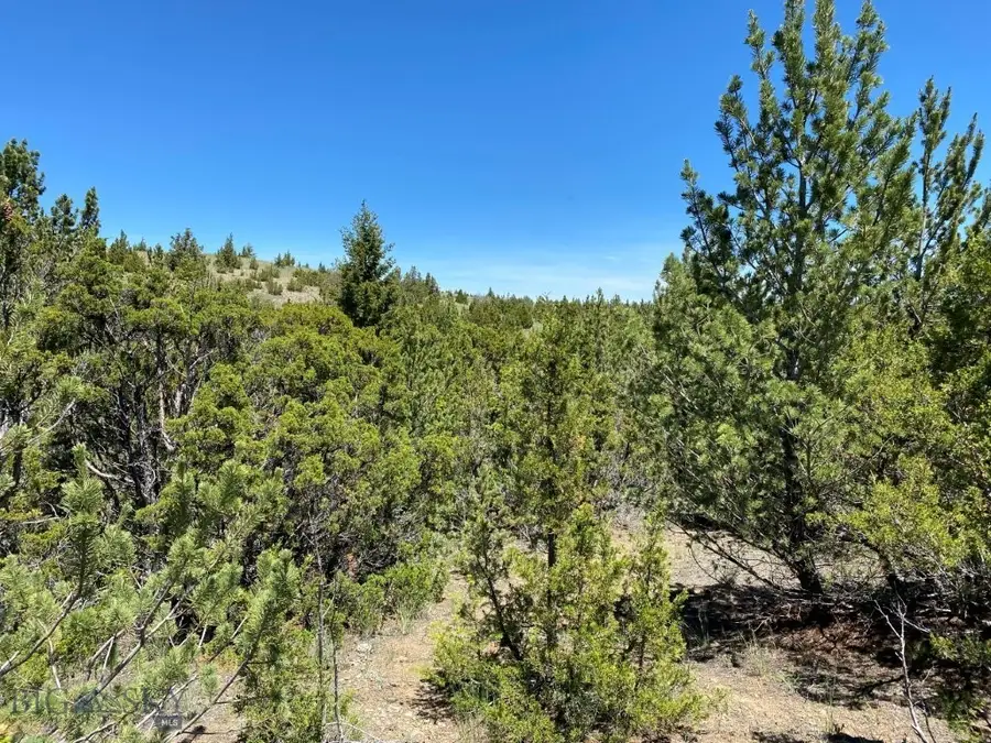 17 Keating Gulch Road, Townsend, MT 59644 - #3