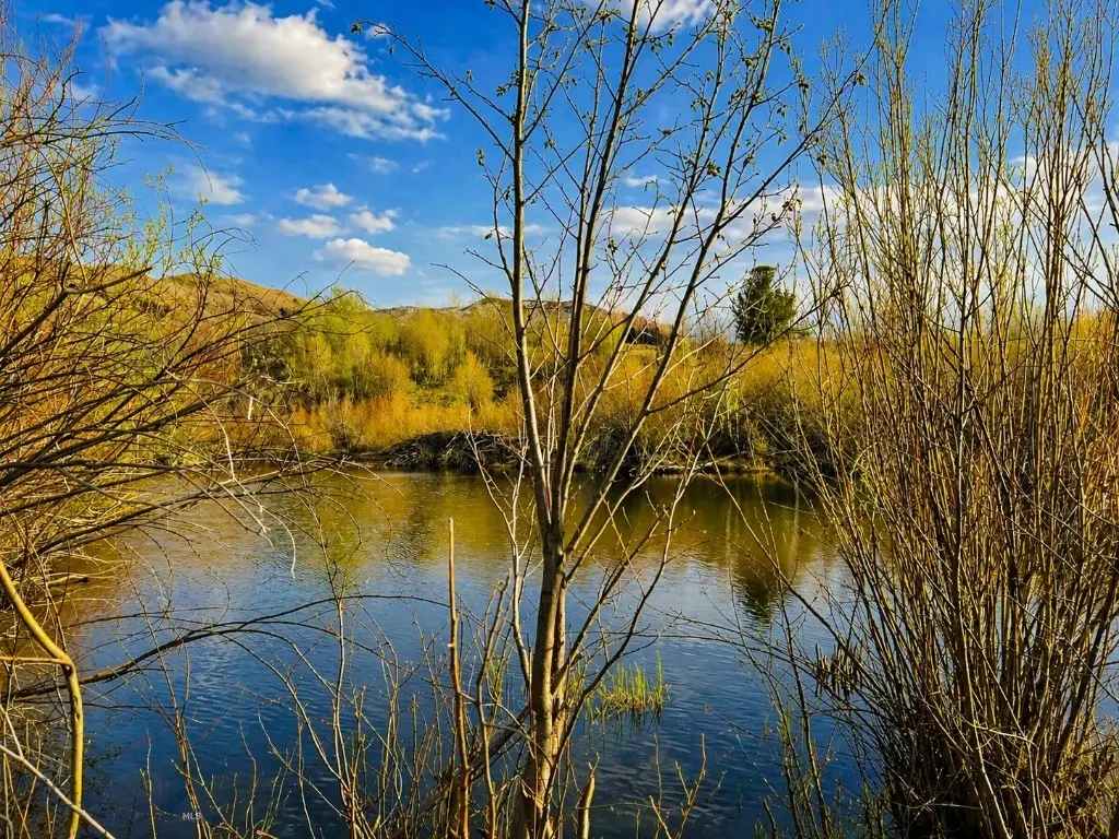 TBD Clear Creek Trail, Anaconda, MT 59711 - #1