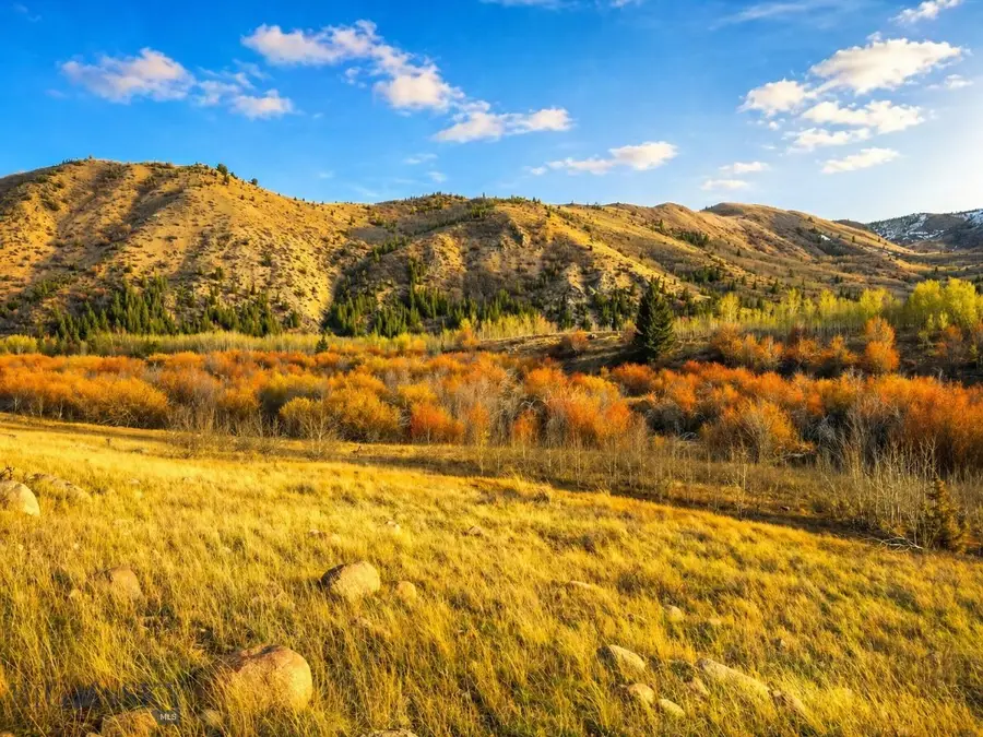 TBD Clear Creek Trail, Anaconda, MT 59711 - #2