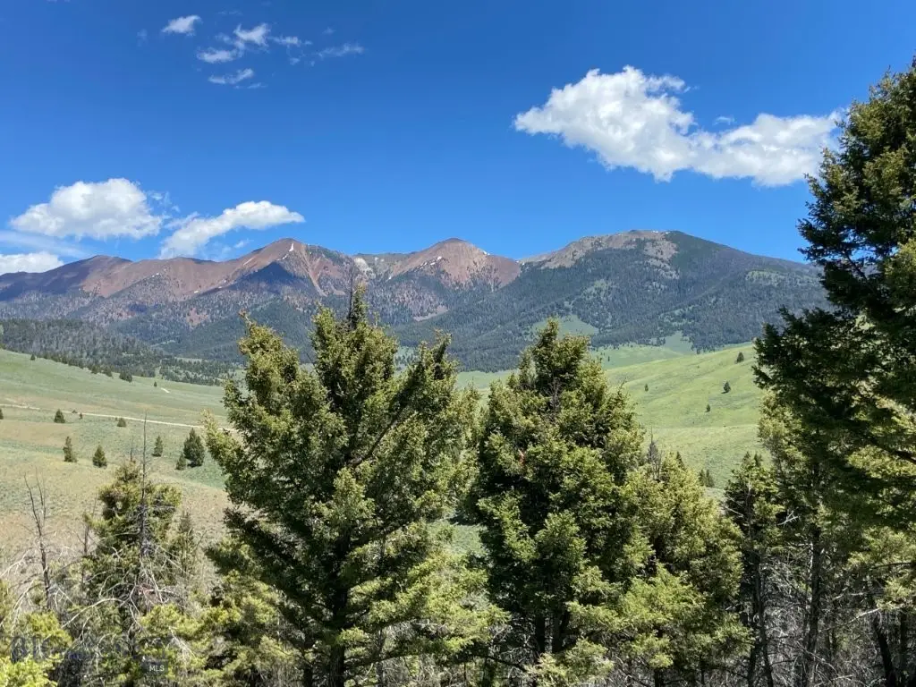 TBD Camp Creek Road, Melrose, MT 59743 - #1