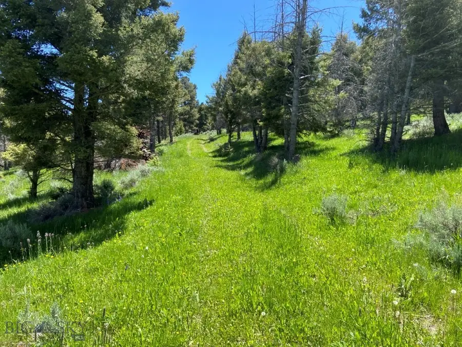 TBD Camp Creek Road, Melrose, MT 59743 - #3
