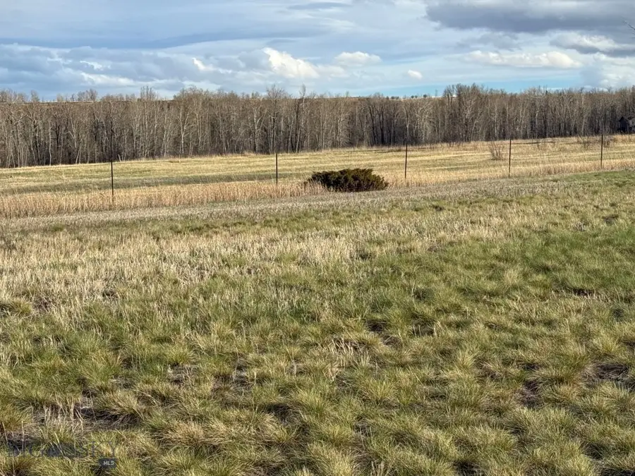 NHN Us Hwy 212, Red Lodge, MT 59068 - #3